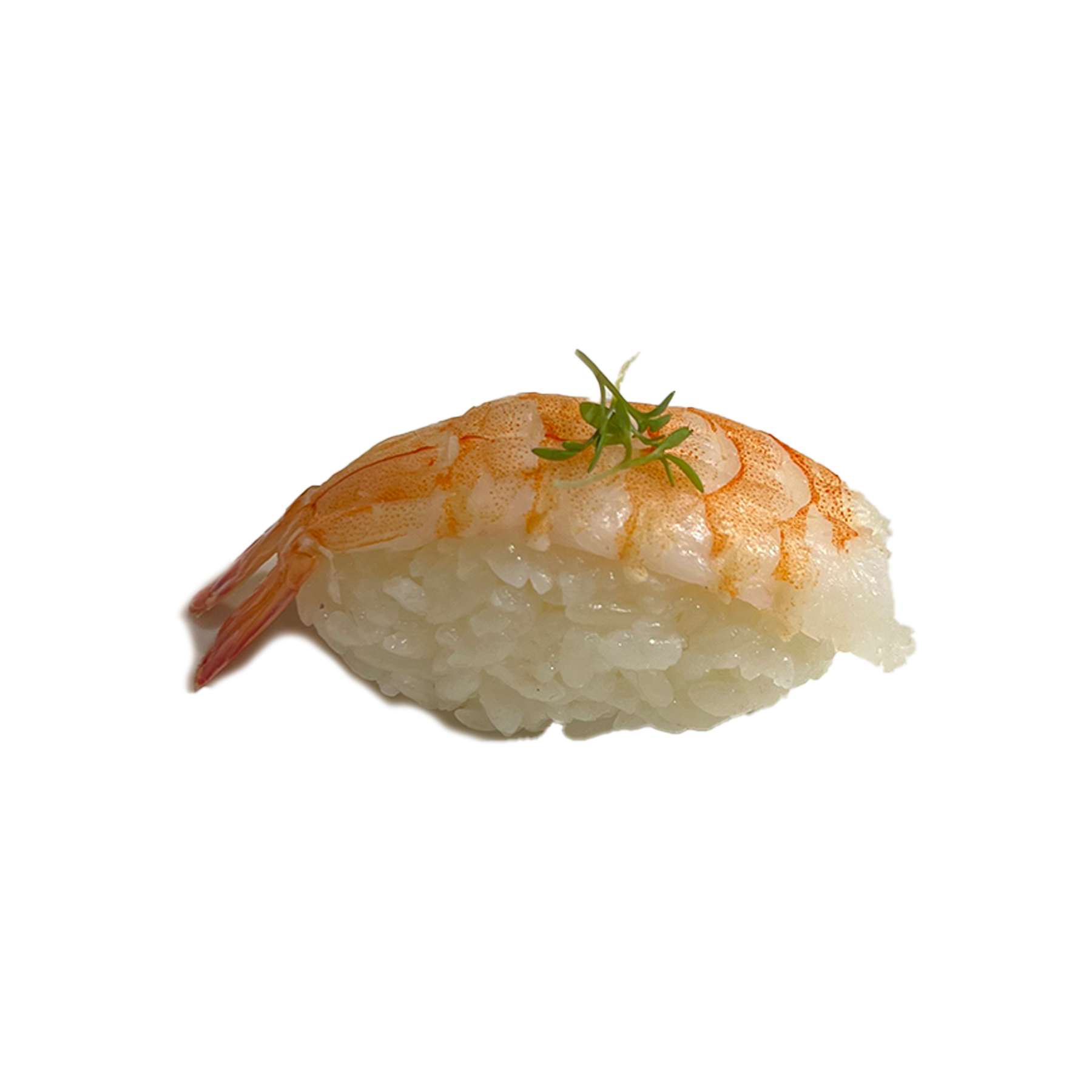 Ebi nigiri