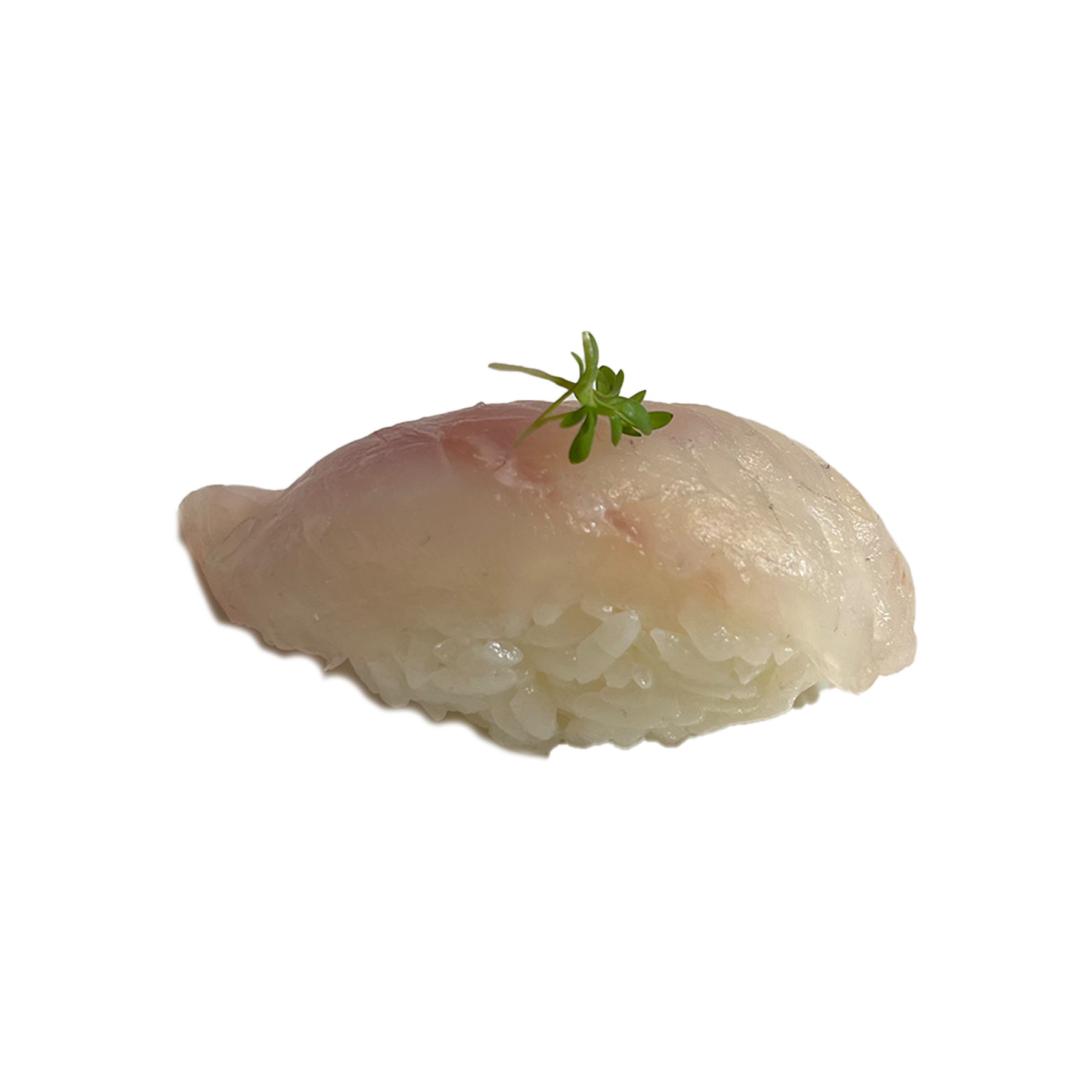 Zeebaars nigiri